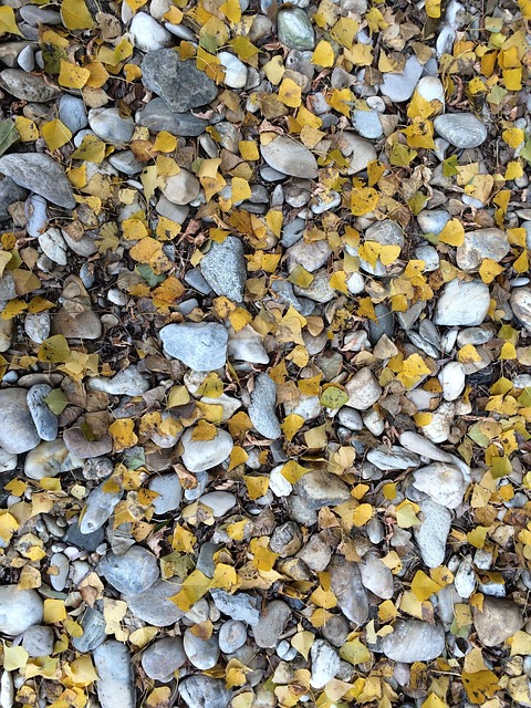 Free Stones Multicoloured photo and picture