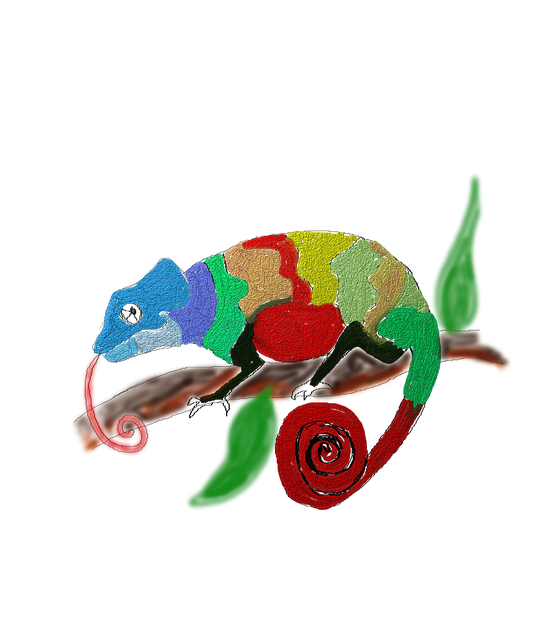Cameleon, Animal, Multicolor, Natura