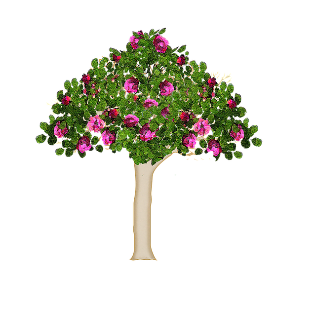 Free tree nature forest illustration