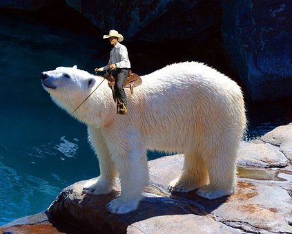 Free Icebear Horse Riding photo and picture