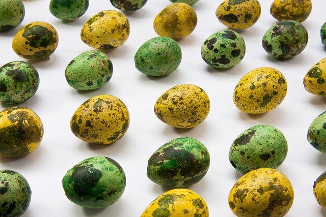 Free Egg Quail Egg photo and picture