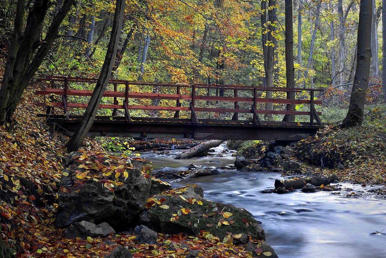 Bridge - free online jigsaw puzzle photo