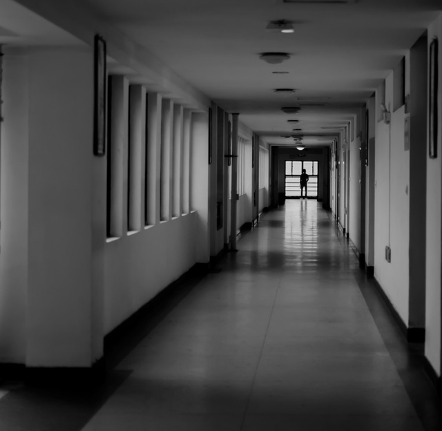 Free Documentary Life photo and picture