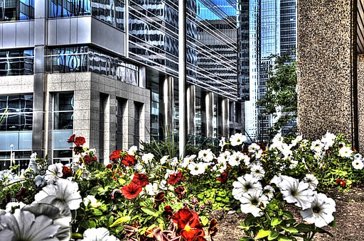 Free Calgary City photo and picture