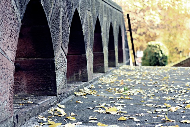 Free Bridge Fall photo and picture