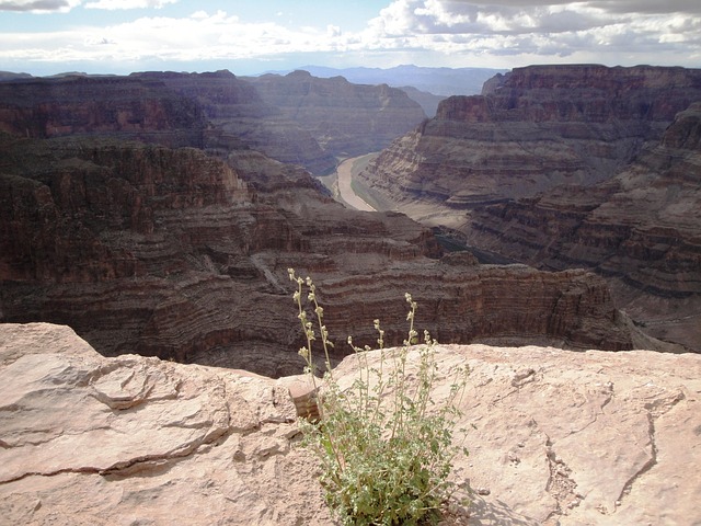 Free Colorado River Grand Canyon photo and picture