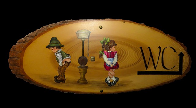 Free toilet wc public illustration