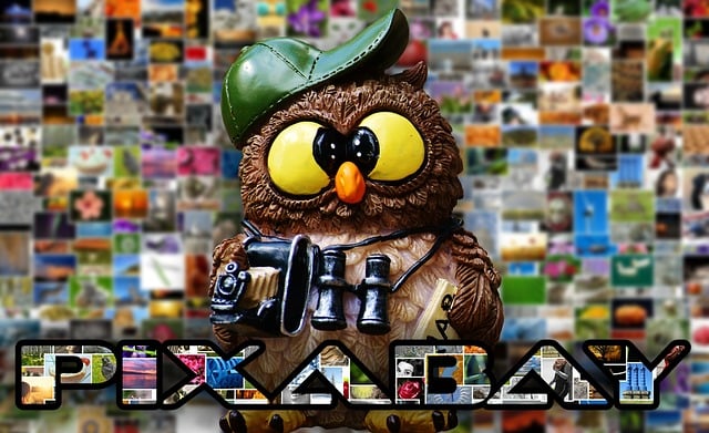 Free pixabay image database photos illustration