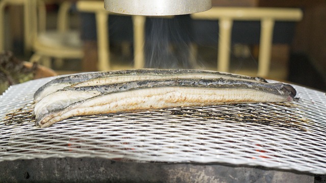 Free Korean Taste Eel photo and picture