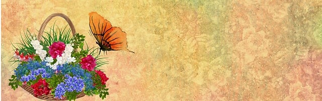 Blomst, Sommerfugl, Banner, Web