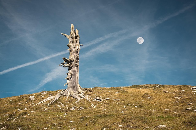 Montaña, Cielo, Alpes, Naturaleza, Nubes