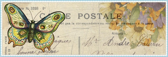 Blume, Schmetterling, Post, Karte