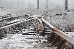 road, nature, winter
