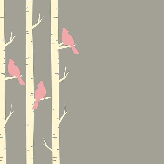 Free birds trees nature illustration