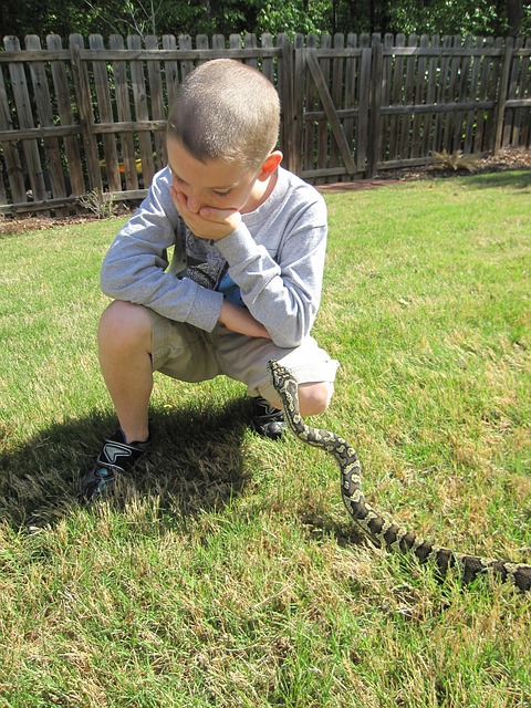 Free Boy Boa photo and picture