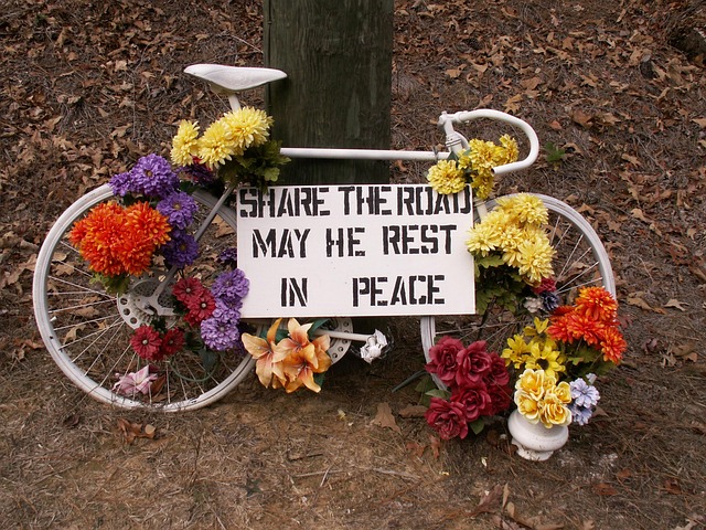 Free Bike Safety photo and picture