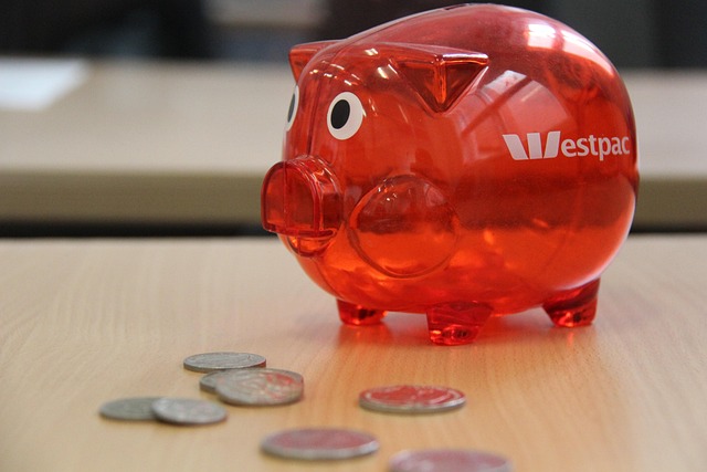 Free Piggybank Piggy photo and picture
