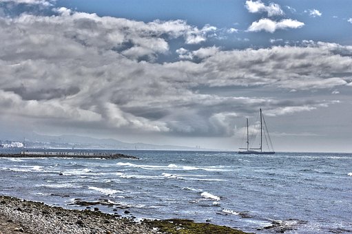 Free Sea Darling photo and picture