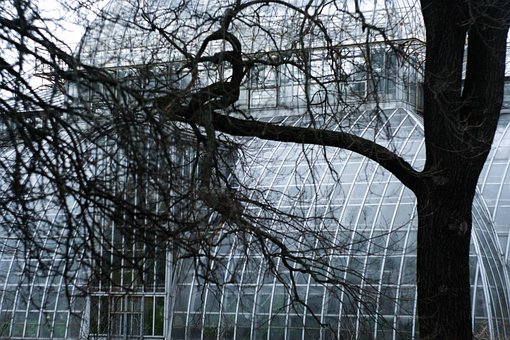 Free Tree Botanical Garden photo and picture