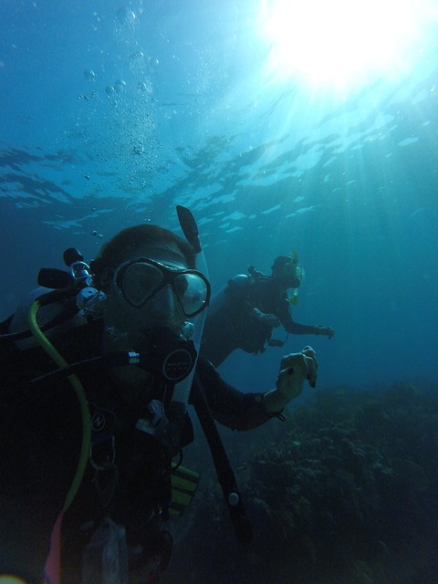 Free Dive Sea photo and picture