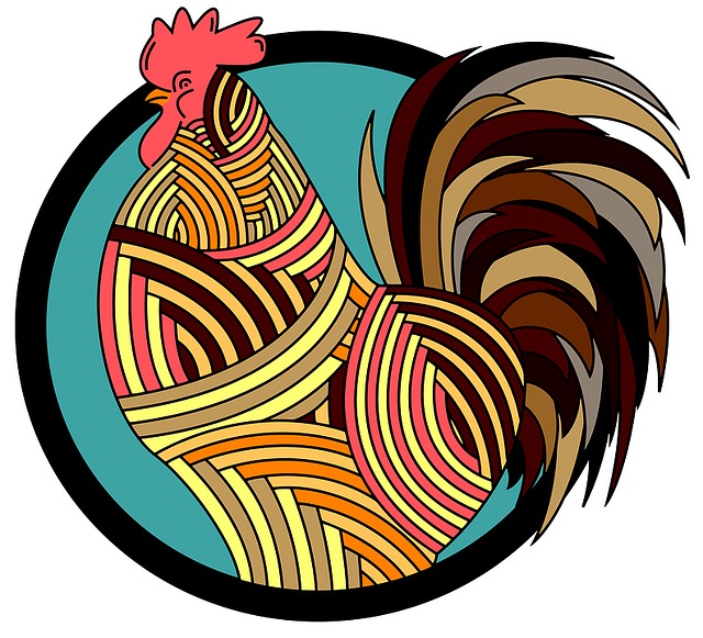 Free rooster nature poultry illustration