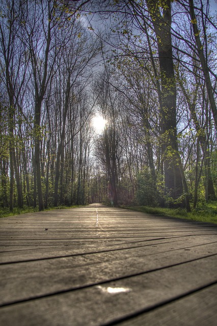 Wald, Hdr, Oostende
