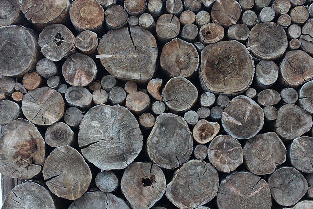 Free Wood Tribe photo and picture
