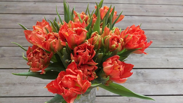 Free Tulips Bouquet photo and picture