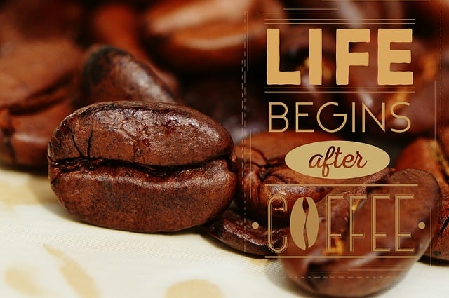 Free coffee coffee beans coffee shop illustration