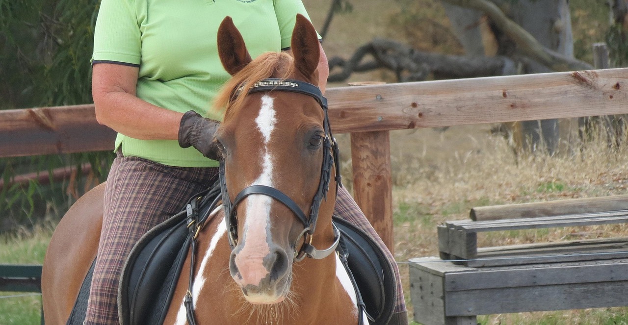 Horsey Riders Horse Rider Equestrian - Free photo on Pixabay - Pixabay