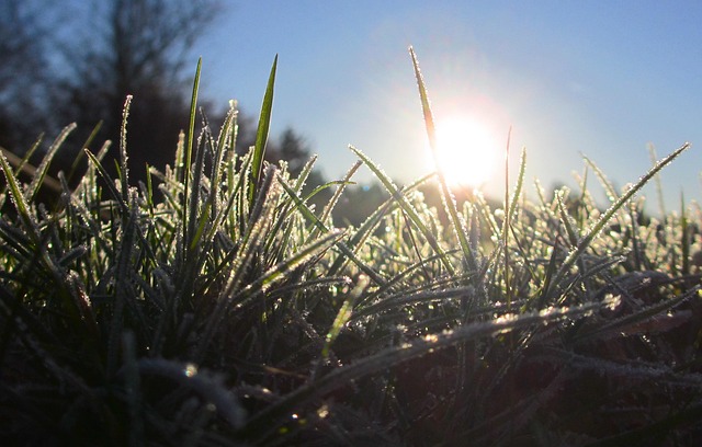Sonnenaufgang, Sonnenuntergang, Gras