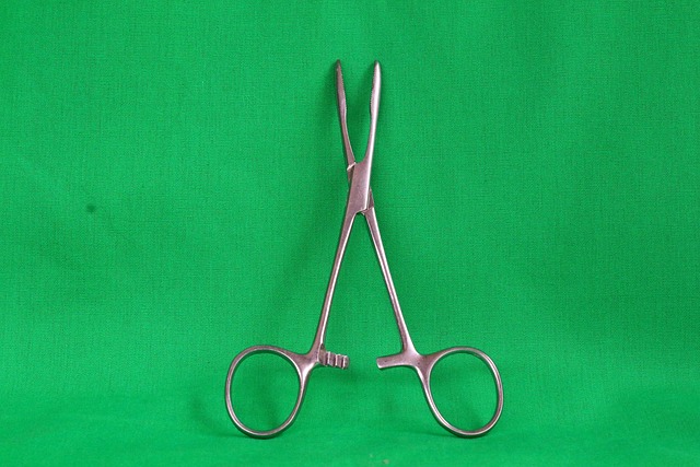 Free Hemostasis Forceps Dentiste photo and picture