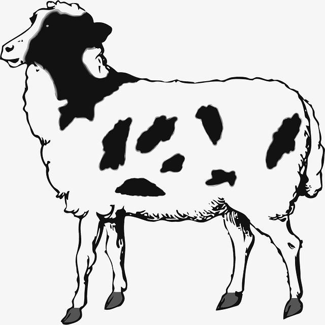 Tier, Lebensmittel, Fleisch