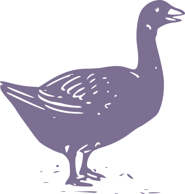 Free animal nature animals vector
