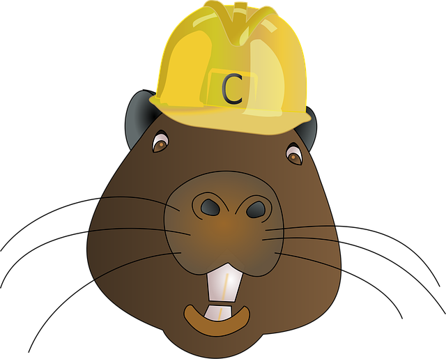 Free animal beaver nature vector