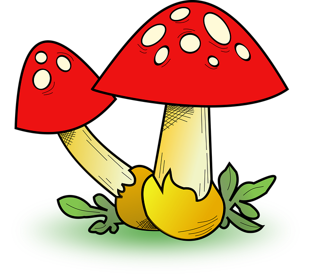 Herbst, Pilze, Kartensymbol, Pilz, Rpg