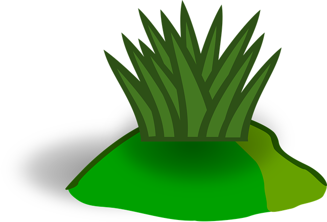 Download free HD stock image of Grass Green Free grass green vegetation vector