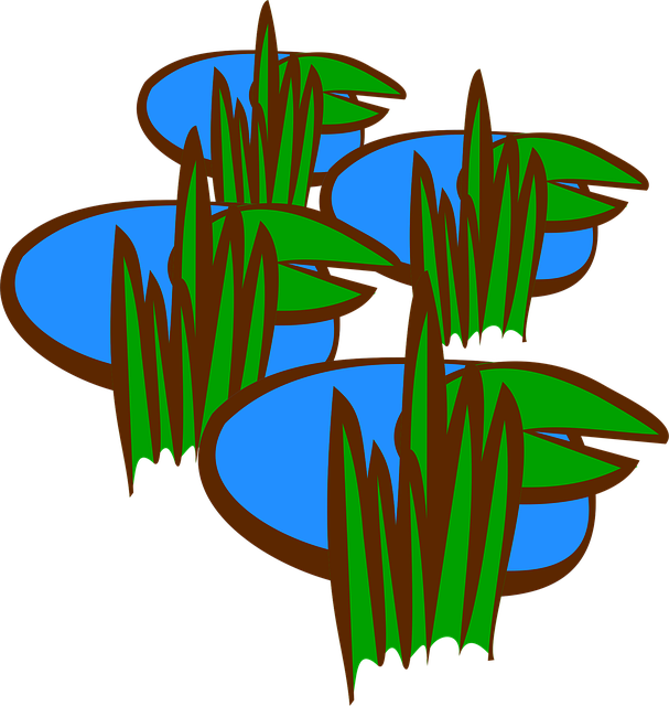 Free map icon rpg swamp vector