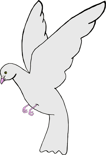 Free ave bird nature vector
