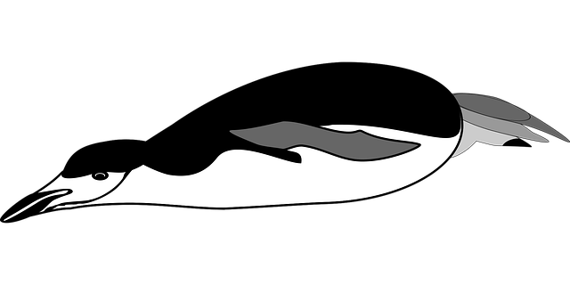 Free penguin animal nature vector