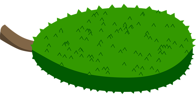 Free jack fruit tropical fruit illustration