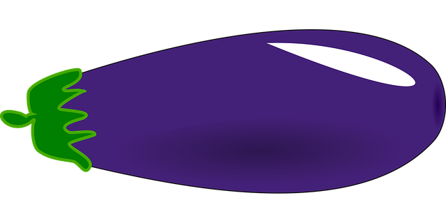 Free aubergine eggplant food vector