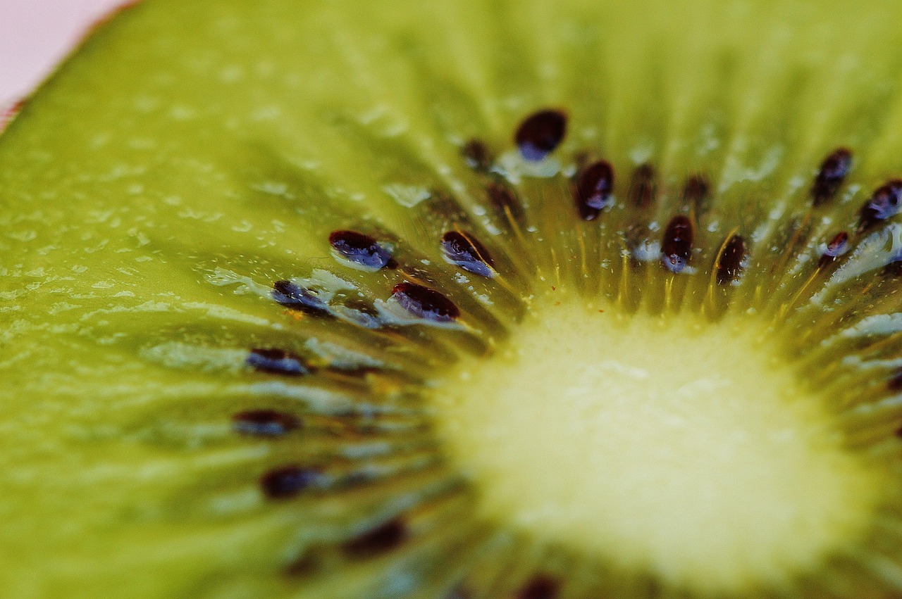 Kiwi - free online jigsaw puzzle photo