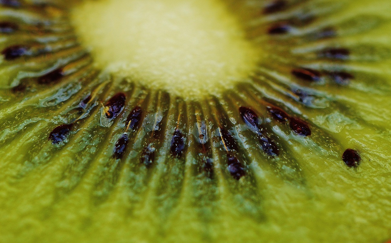 Kiwi - free online jigsaw puzzle photo