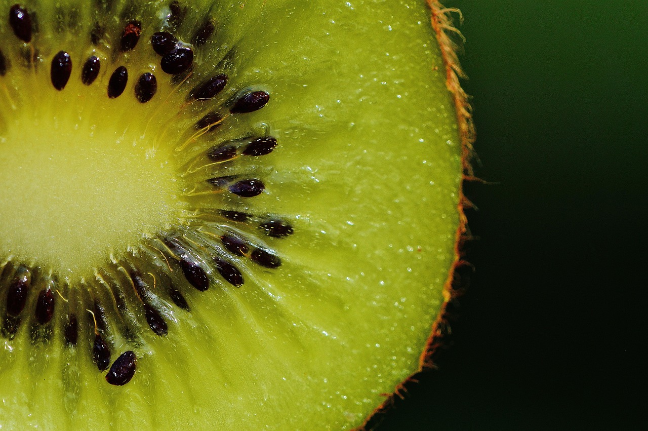 Kiwi - free online jigsaw puzzle photo