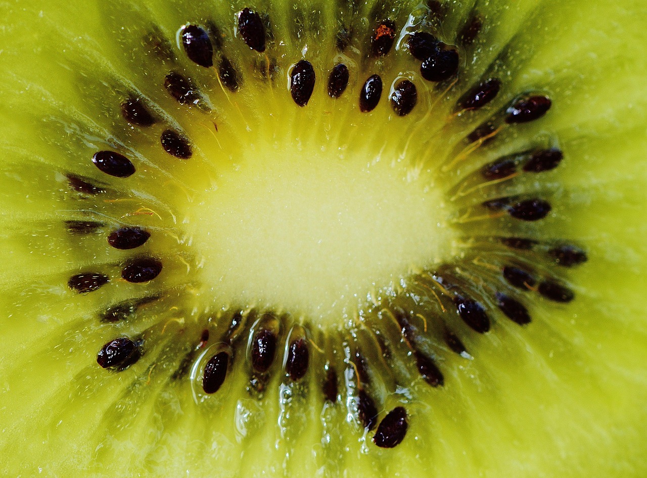 Kiwi - free online jigsaw puzzle photo