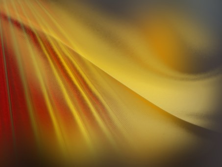 Free Background Backdrop illustration and picture