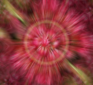 Free Background Backdrop illustration and picture
