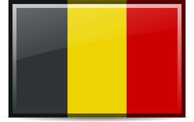 Free belgium flag icons illustration
