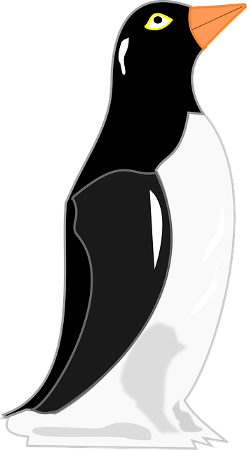 Pinguim, Pinguim De Gel, Vintage